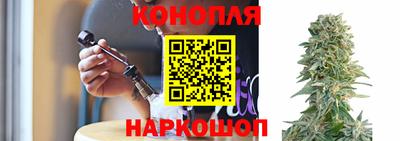 ALPHA PVP Обь