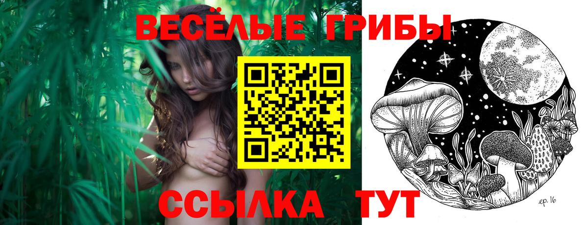 Псилоцибиновые грибы мухоморы  Вход с VPN  Сочи 
